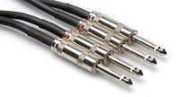 Hosa CPP-410 Dual Unbalanced Nickel Plated 1/4