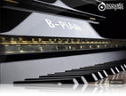 Acousticsamples B-PIAN Bad Upright Piano Library