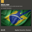 AAS Brazil Now Sound Pack for Strum GS-2