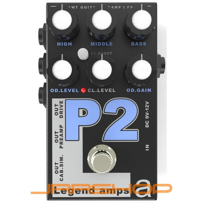 AMT Electronics Legend Amp Series II P2 Peavey 5150