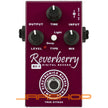 AMT Electronics RY-1 Reverberry Digital Reverb Pedal