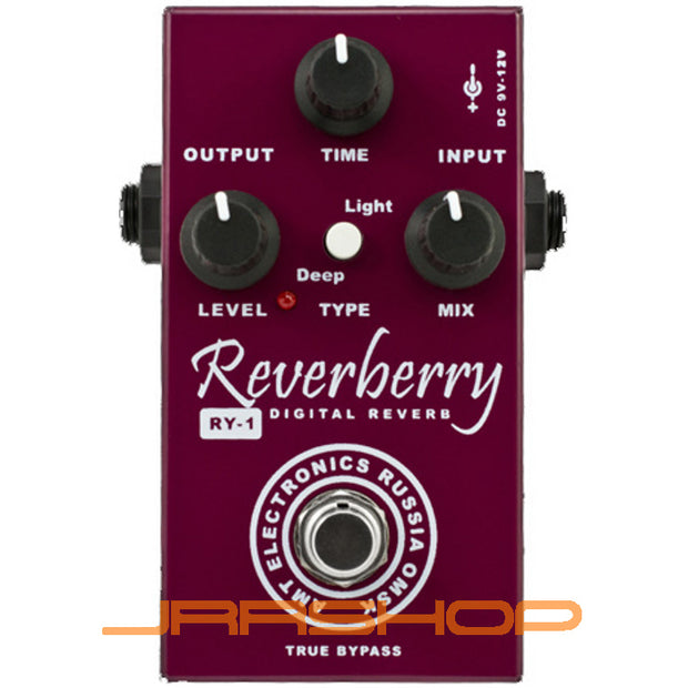 AMT Electronics RY-1 Reverberry Digital Reverb Pedal
