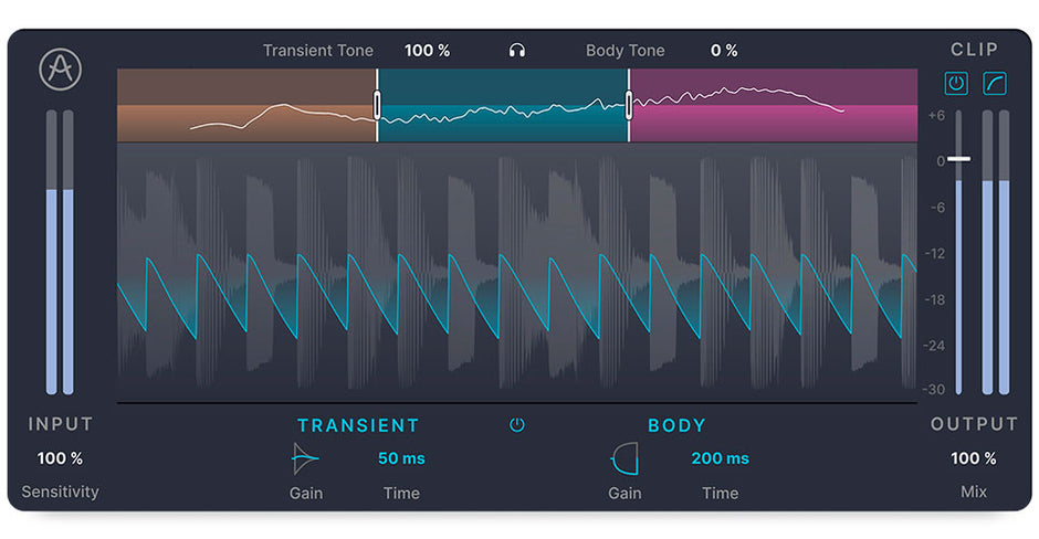 Arturia Bus TRANSIENT