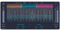Arturia Bus TRANSIENT