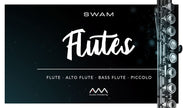 Audio Modeling SWAM Flutes V2 to V3 Upgrade