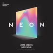 Audiomodern NEON Chordjam Expansion Pack
