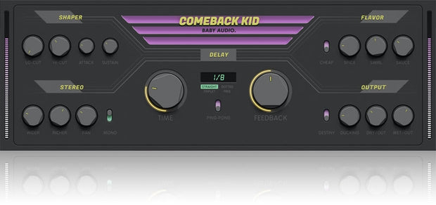 Baby Audio Comeback Kid Delay Plugin