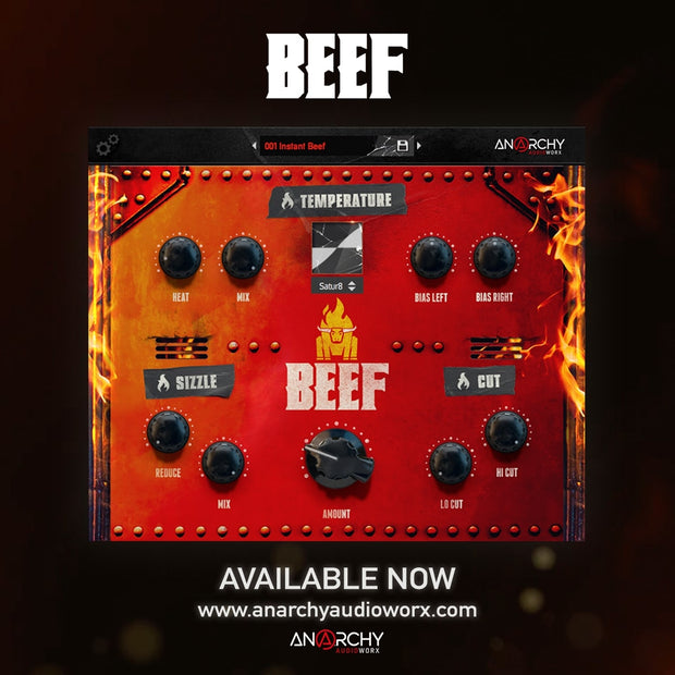 Anarchy Audioworx Beef