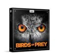 BOOM Library: Birds of Prey