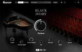 Capsule Audio Capsule Black Ivory