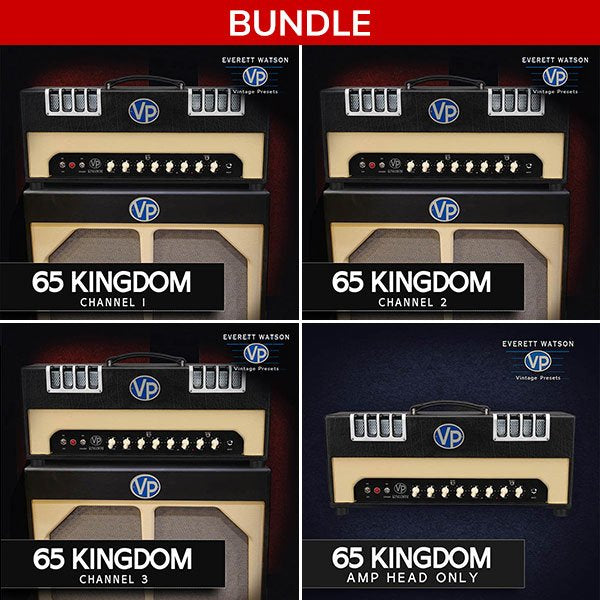 IK Multimedia EW Complete 65 Kingdom for TONEX