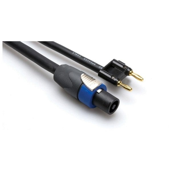 Hosa SKT-2100BN Speakon to Banana, 12 AWG x 2 100 ft.