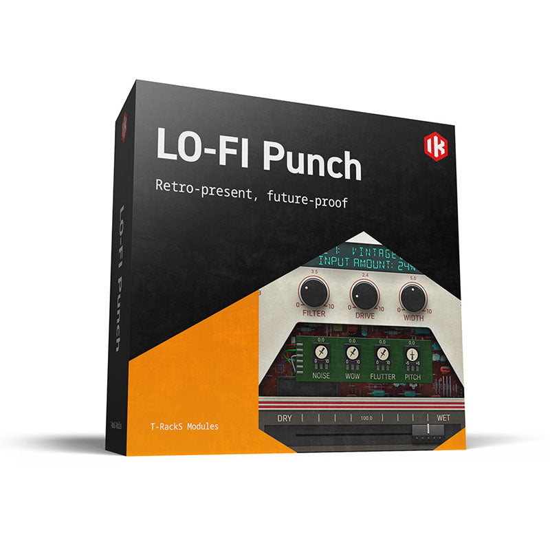 IK Multimedia T-RackS Lo-Fi Punch