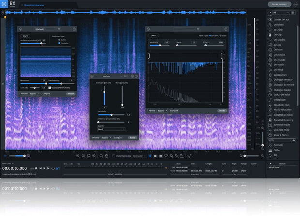 iZotope RX 12 Advanced EDU