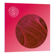 iZotope Velvet EDU