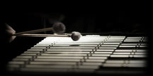 JRR Sounds Super Natural Mallets Vol.2 Vibes Hard Sample Set