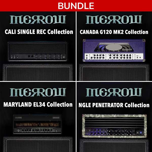 IK Multimedia KM High Gain Essentials for TONEX