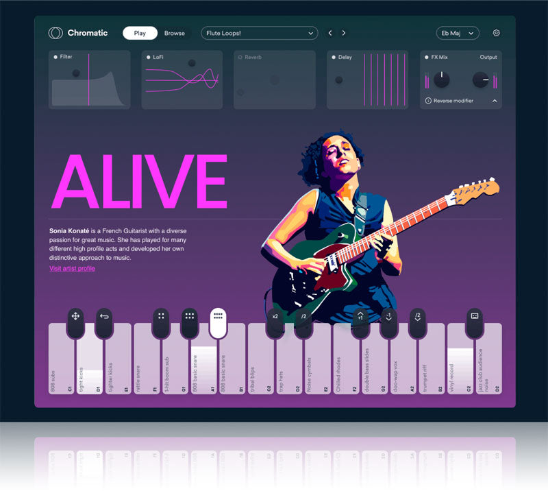 LANDR Chromatic