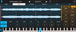 BLEASS SampleWiz 2 Bundle