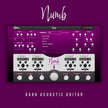 New Nation Numb Dark Acoustic Guitar Plugin