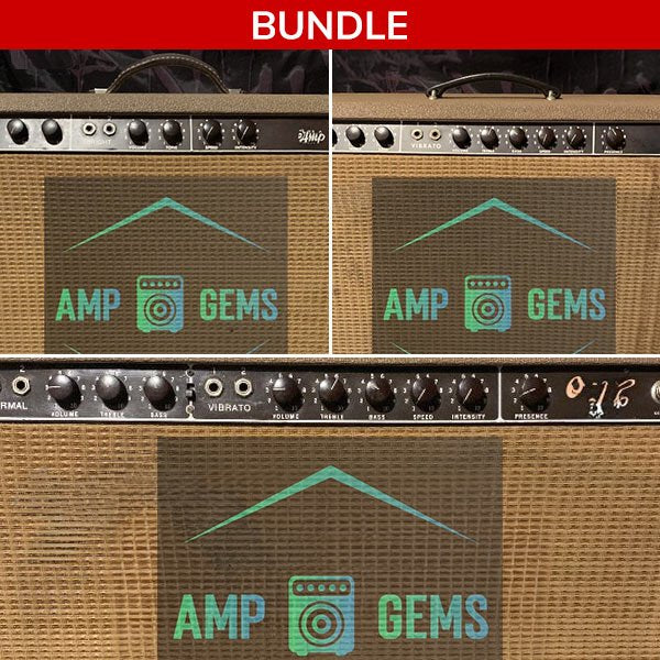 IK Multimedia 60's Brown Panel Bundle 1 for TONEX
