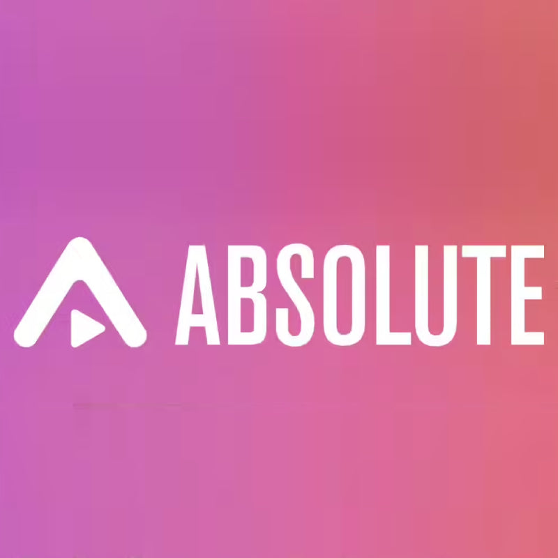 Steinberg Absolute 7 Competitive Crossgrade