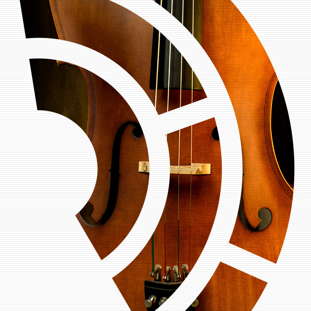 Steinberg Iconica Sections & Players
