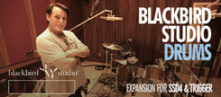 Steven Slate Blackbird Studios Drums Expansion for SSD