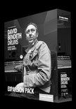 Steven Slate David Bendeth Drums Expansion for SSD