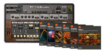 AAS String Studio VS-3 & Packs
