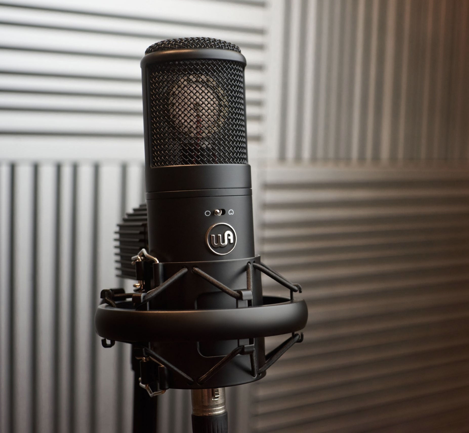 Warm Audio WA-8000 Tube Condenser Microphone