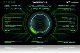 Zynaptiq Wormhole